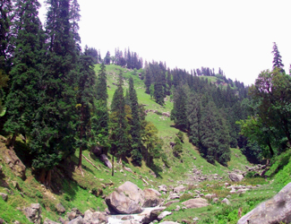 Malana Chandrakhani Trek